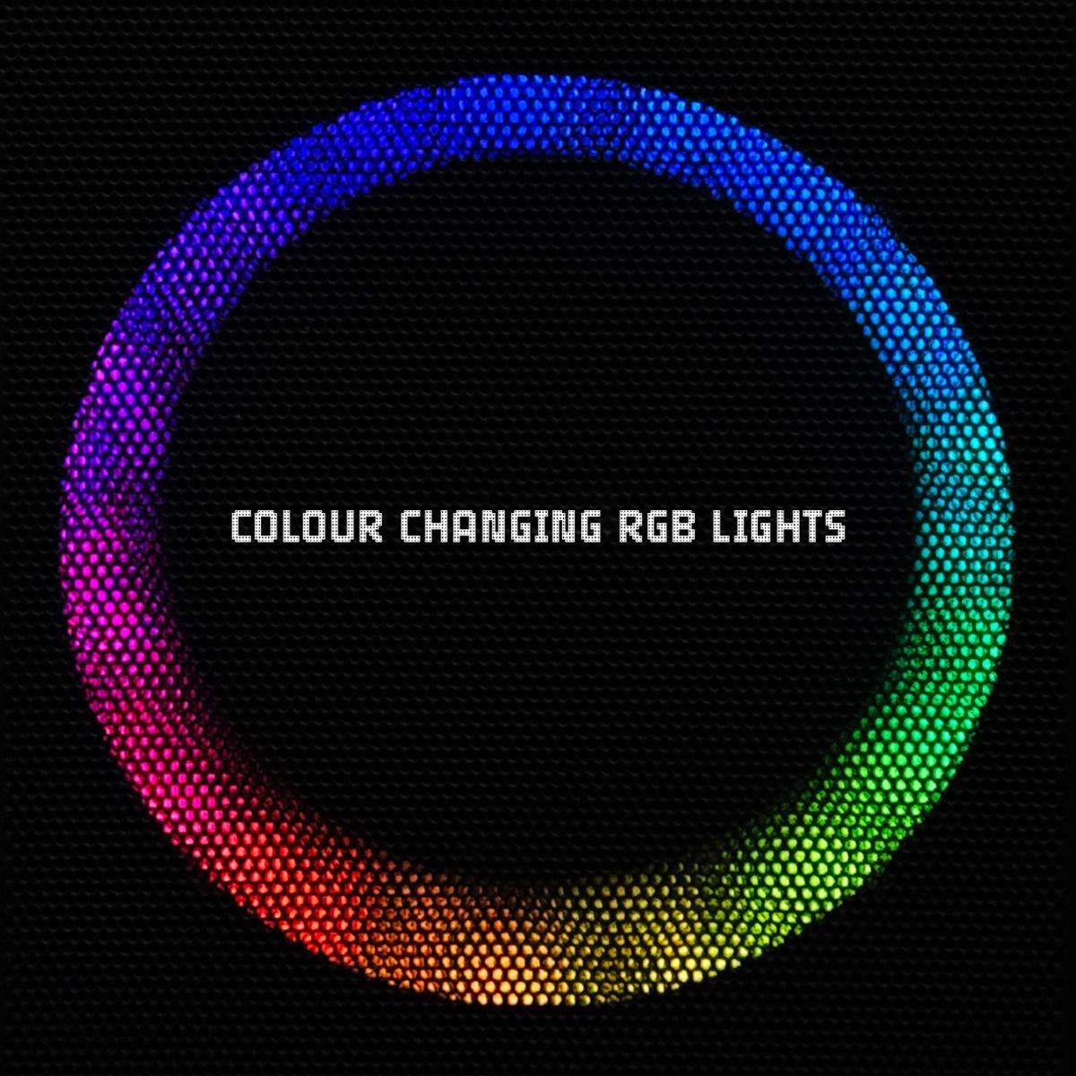 Ven-Dens Portable Karaoke Speaker with Dual Wireless Microphones (VD-SPK006)