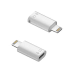 Powerplus USB-C to 8 Pin Adaptor Converter (2085)