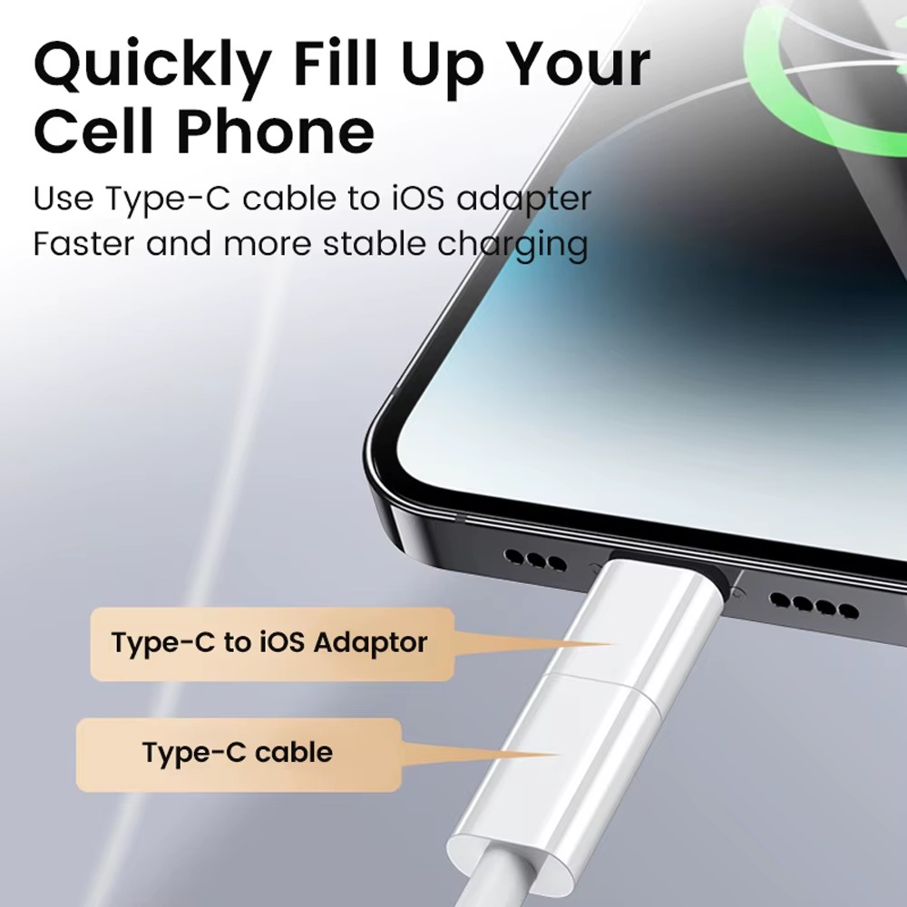 Powerplus USB-C to 8 Pin Adaptor Converter (2085)