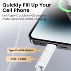 Powerplus USB-C to 8 Pin Adaptor Converter (2085)
