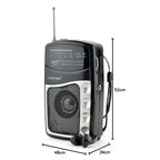 Lloytron Entertainer AM/FM Personal Sports Radio (N2201BK)